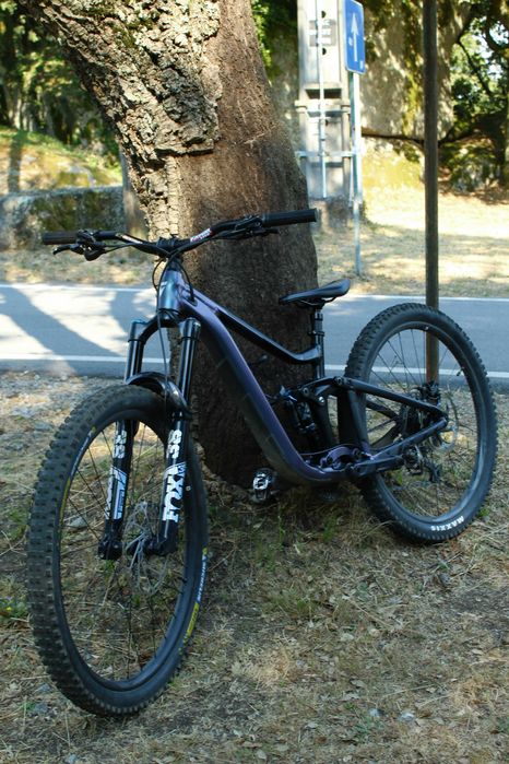 Giant reign 1 2027
