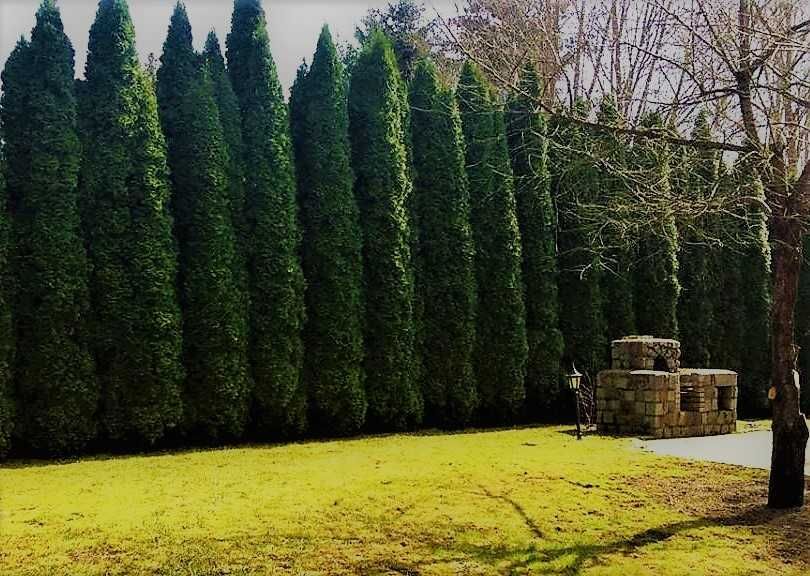 Mieszkanie – Olsztyn, Stare Miasto - Więcej