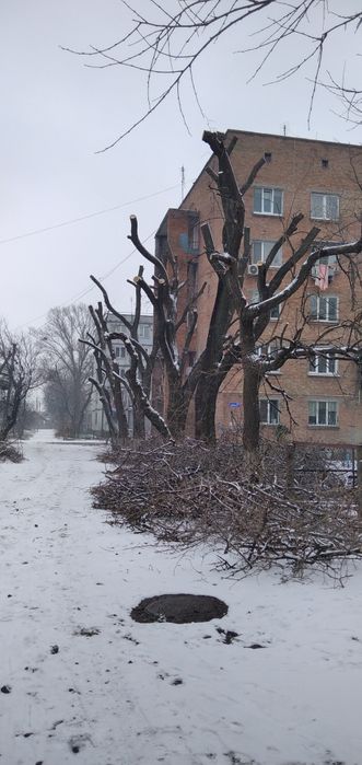 Спиляти Дерево, Спилить Дерево, Обрізка Дерев, Кронування Дерев