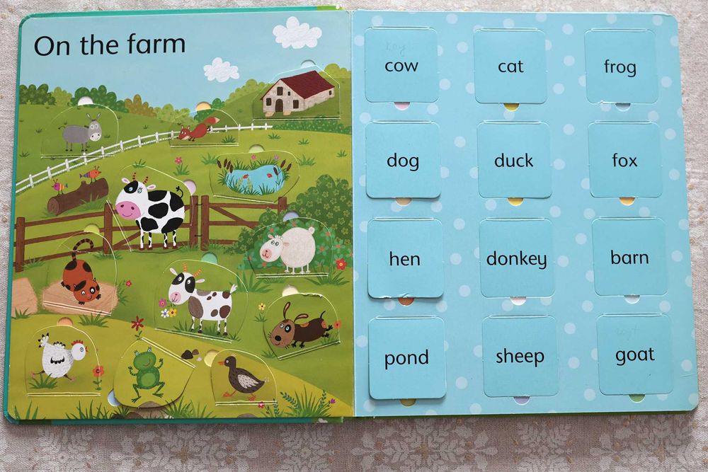 Lift-the-flap word book[Usborne]Англійська для дітей, в гарному стані