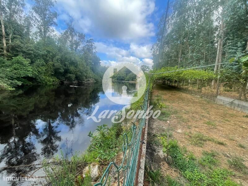 Terreno florestal de 17.717m2 com Quinta de Férias como Anexo em Fe...