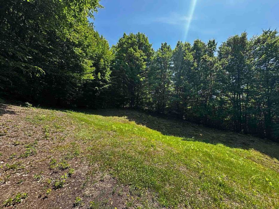 Продається старий будинок з великою земельною ділянкою