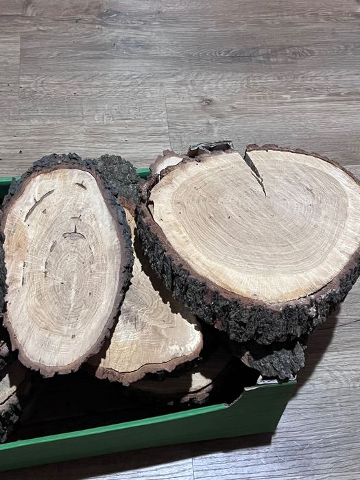 Plastry dębowe na stroiki