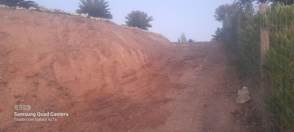 jardinagem e limpeza de terrenos