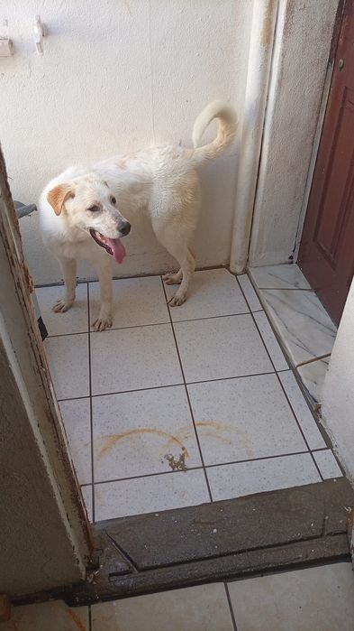Quem me dá vida digna?