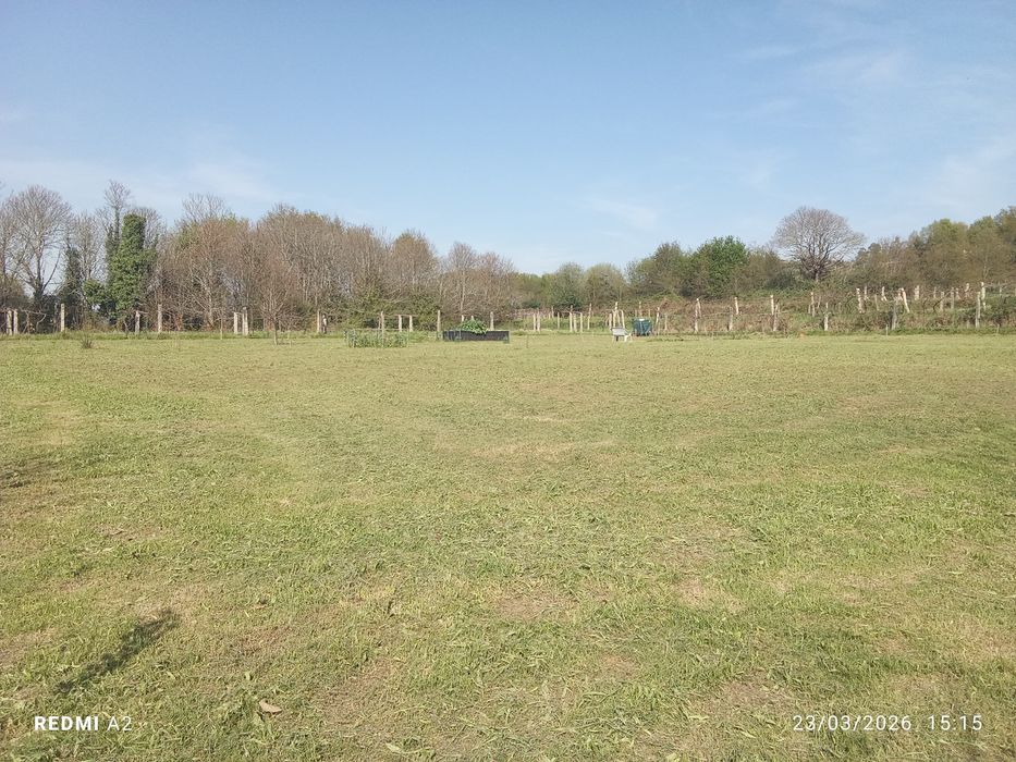 terreno pomar 3100 m2