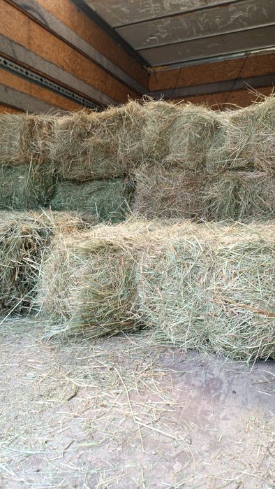 Сіно солома сіно