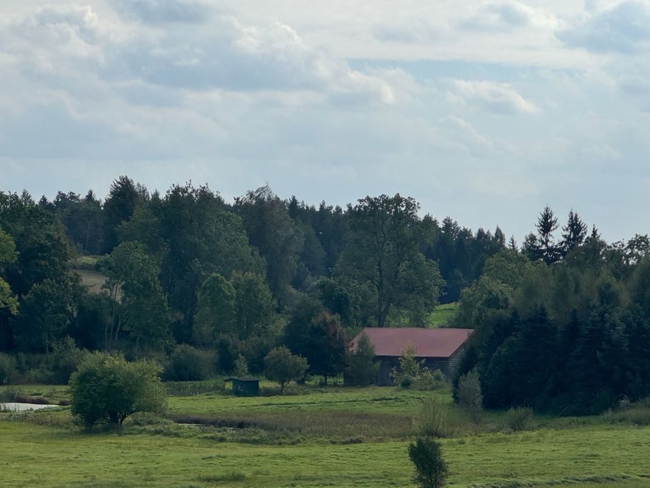 Zdjęcie 6