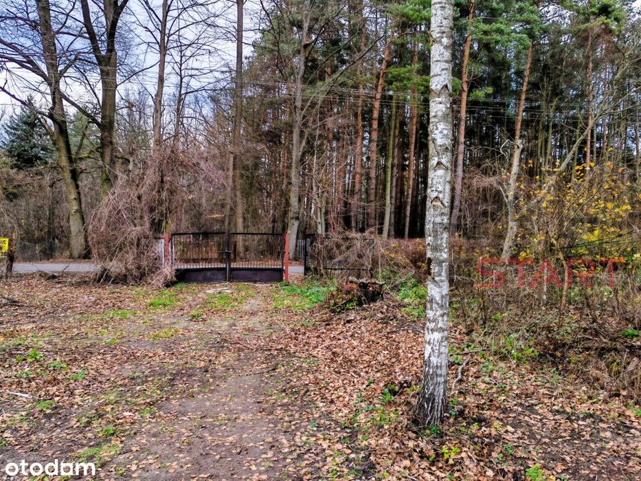 Urokliwa działka w idealnej lokalizacji - Widok 4
