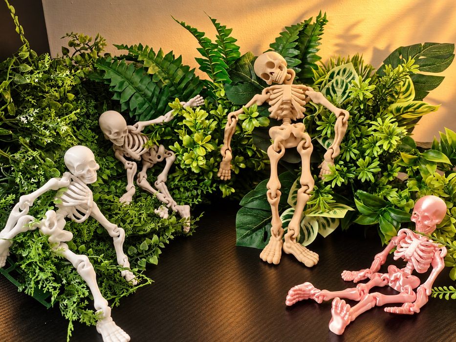Skeleton de brinquedo flexível