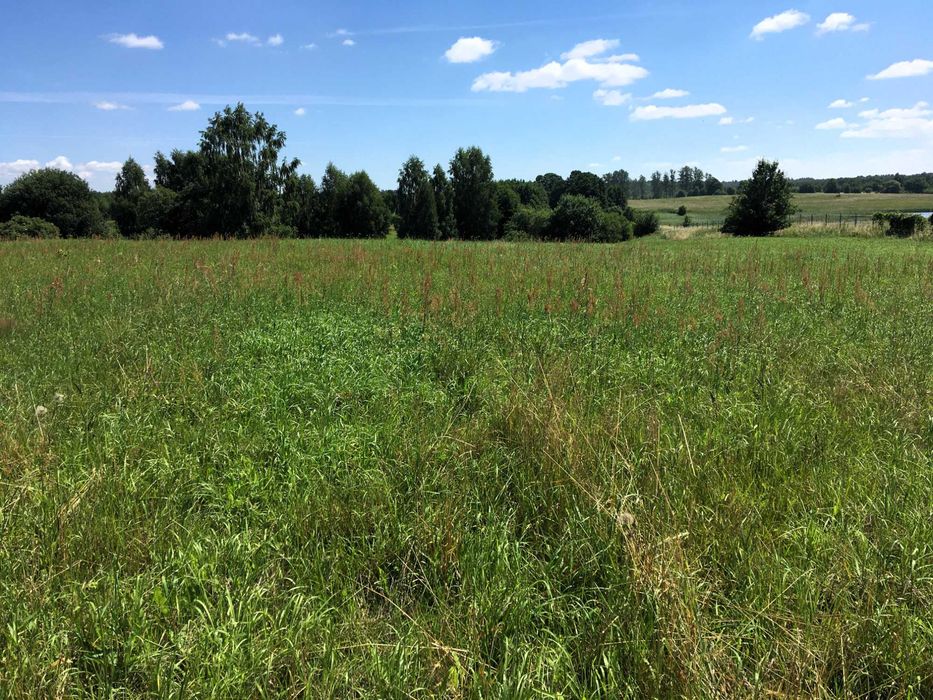 Działki nad jeziorem Dadaj (2ha)
