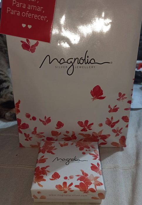 Fio em prata com pingente com cristais