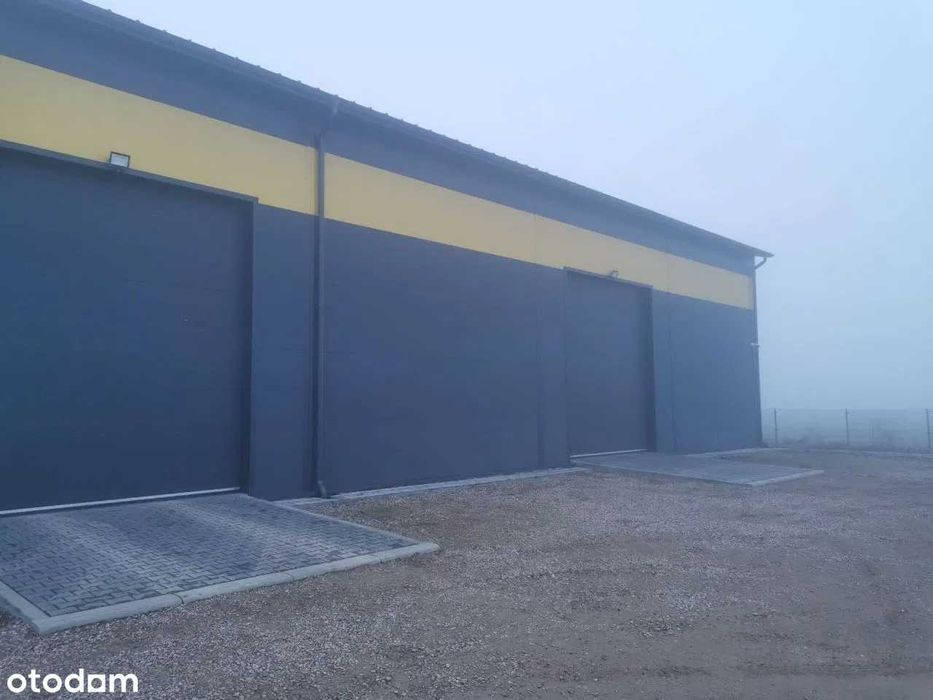 Wynajmę od 100 do 700 m Hali magazynowej