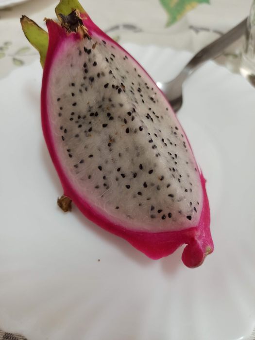 Planta / Árvore Pitaya ou fruta do Dragão