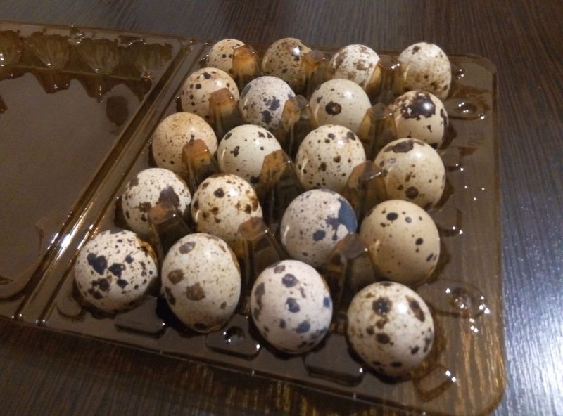 Перепилні яїця домашні