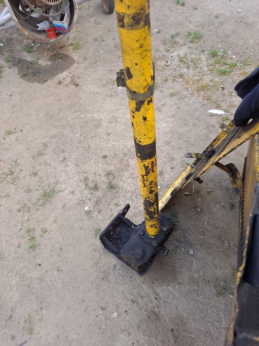 Kolumna rak widlak Suchedniów