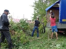 Вывоз веток , мусора , уборка двора