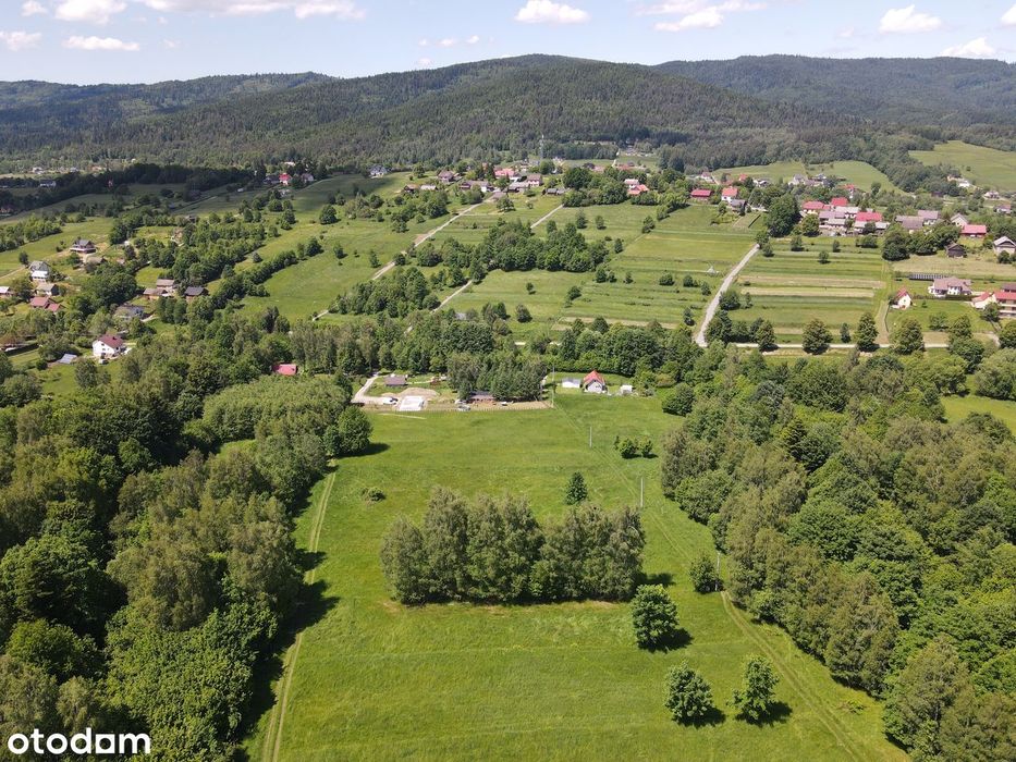 Na sprzedaż widokowa działka rolna 1271 mkw w miejscowości Kocoń.