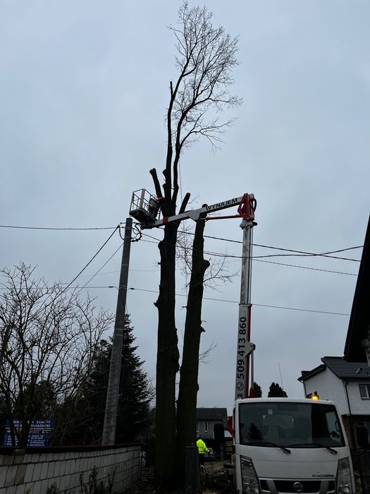 Usługi podnośnikiem koszowym