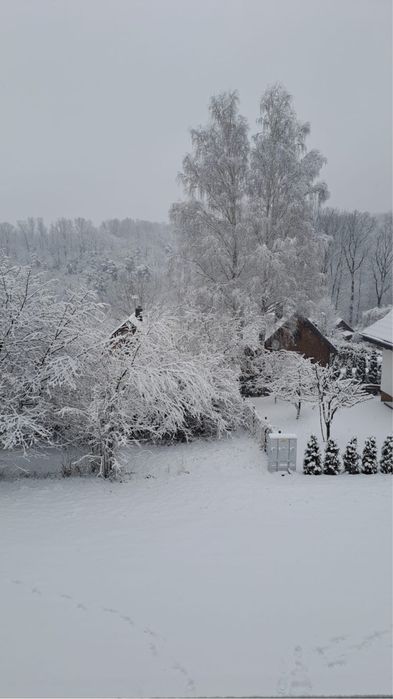 Wolny od 4.02 Dom z bali w górach Jarnołtówek, Biskupia Kopą