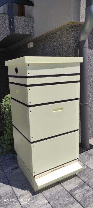 Ule wielkopolskie z poławiacz pyłku higieniczna dennica