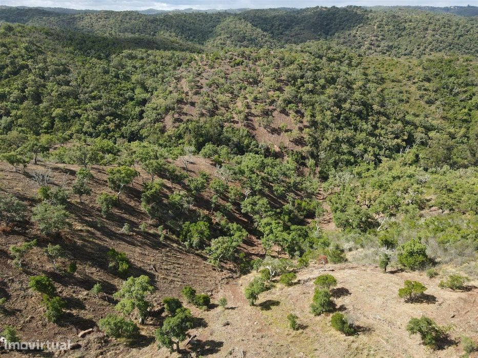 Terreno Rústico  Venda em Santa Clara-a-Nova e Gomes Aires,Almodôvar