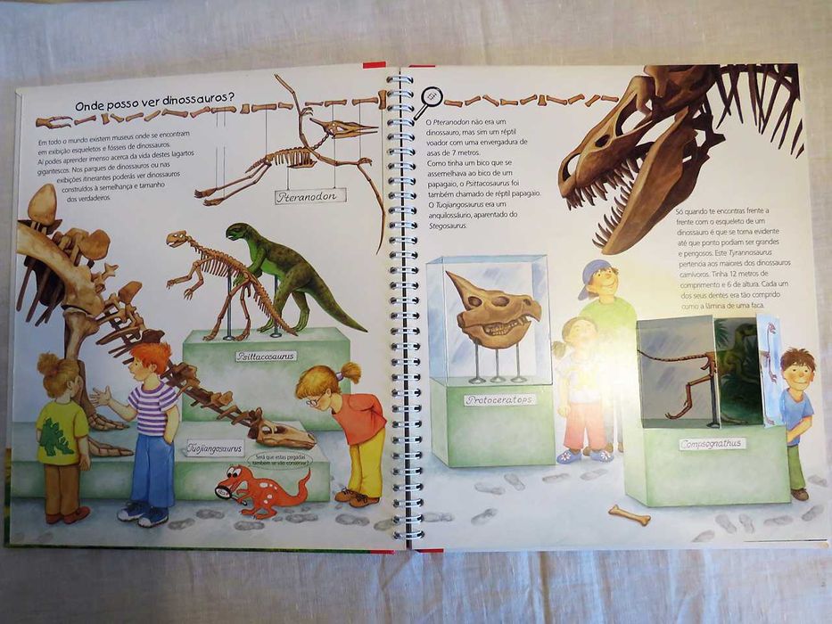 Tudo Sobre os Dinossauros - Patrícia Mennem