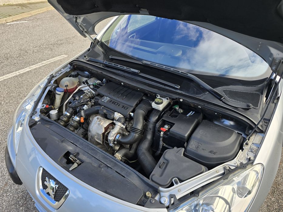 Peugeot 307 1.6 HDI 90CV Executive 2007 Selo Barato Nacional