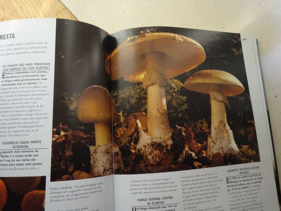 1.001 Maravilhas da Natureza