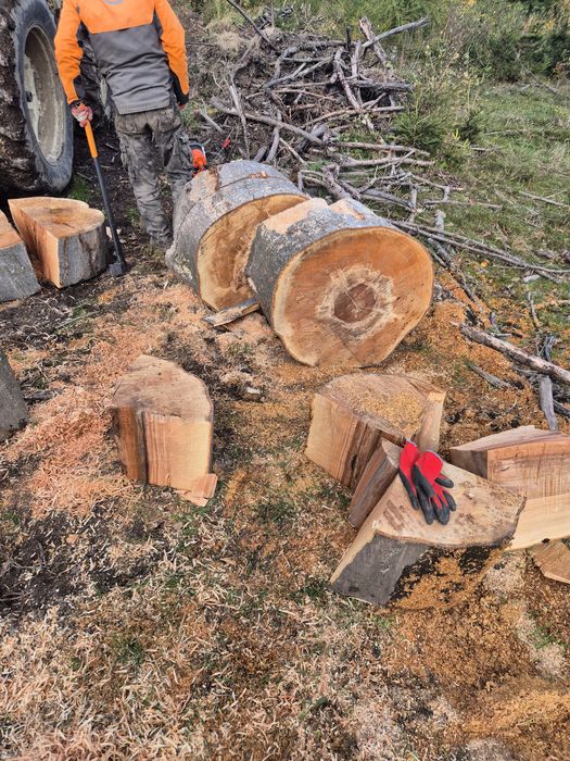 Drewno opalowe kominkowe buk dab