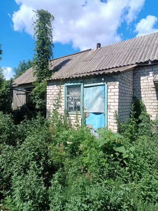 Продам будинок в селі Петрозагір'я