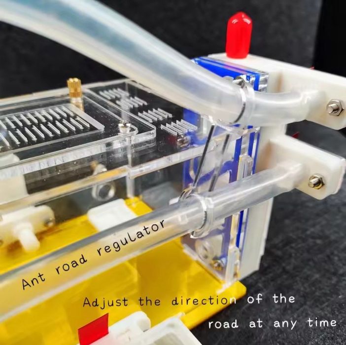 Акриловая муравьиная ферма ( Формикартй ) 11x15x21см