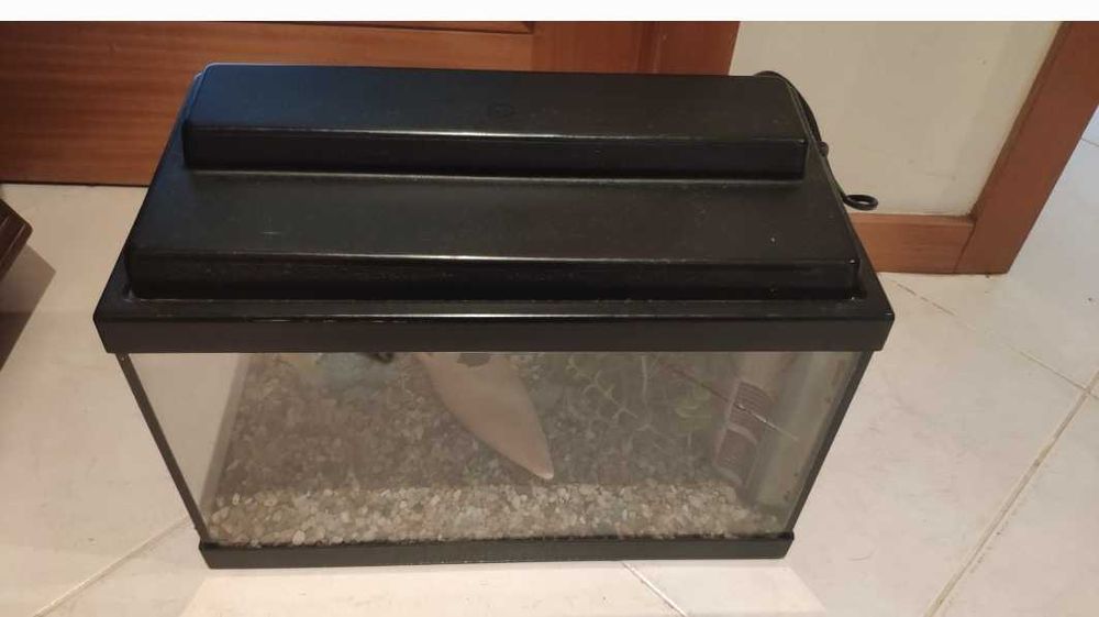 Aquário de peixes
