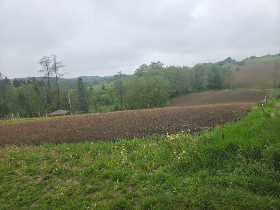 Zdjęcie 5