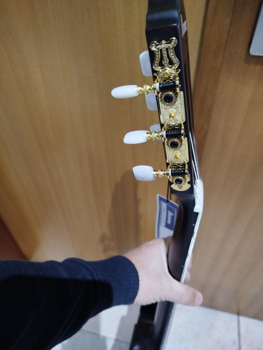 Guitarra Ibanez FRH20QMN-WRL