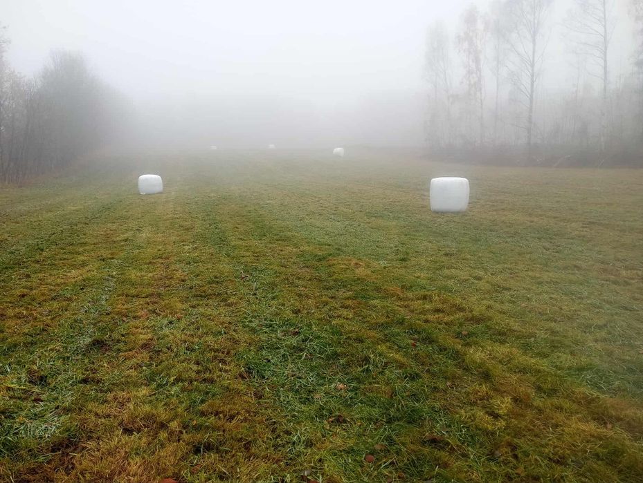 Sianokiszonka dla bydła