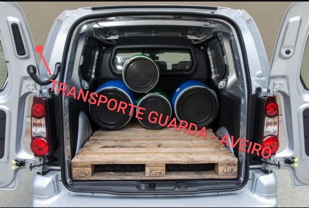 Pequenas Mudanças - Zona Centro