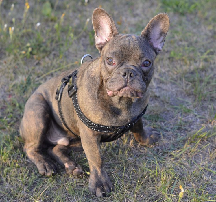 Блакитний хлопець