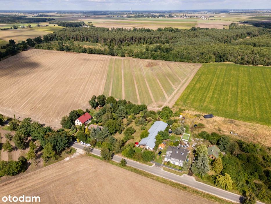 Madera pod Poznaniem— dom z ogromnym ogrodem, przestrzenią i spokojem!