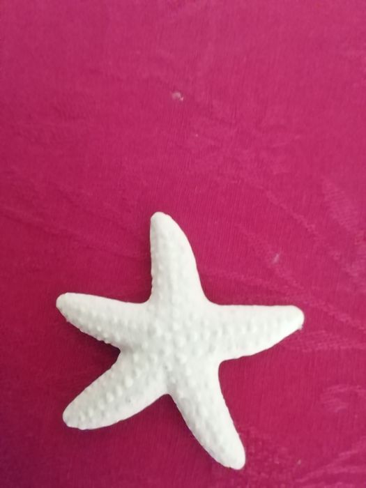 Íman Estrela do mar, novo