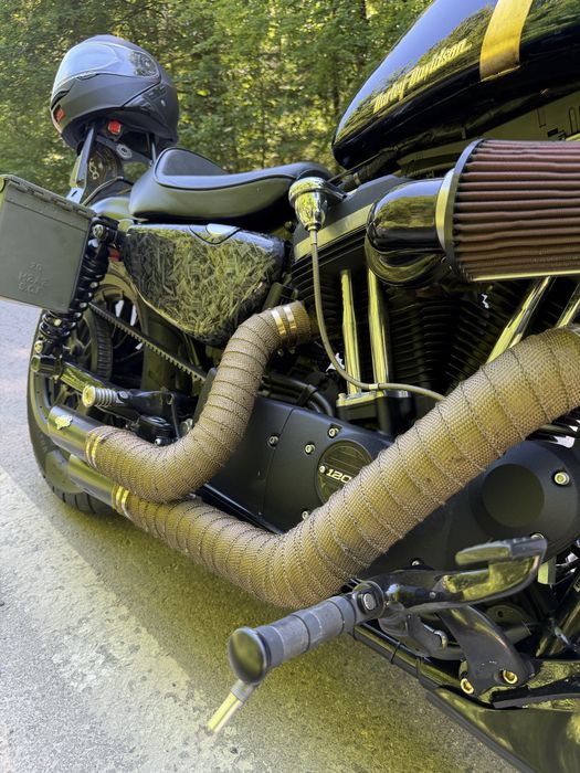 Harley-Davidson (Sportster) iron 883N/1200 Custom