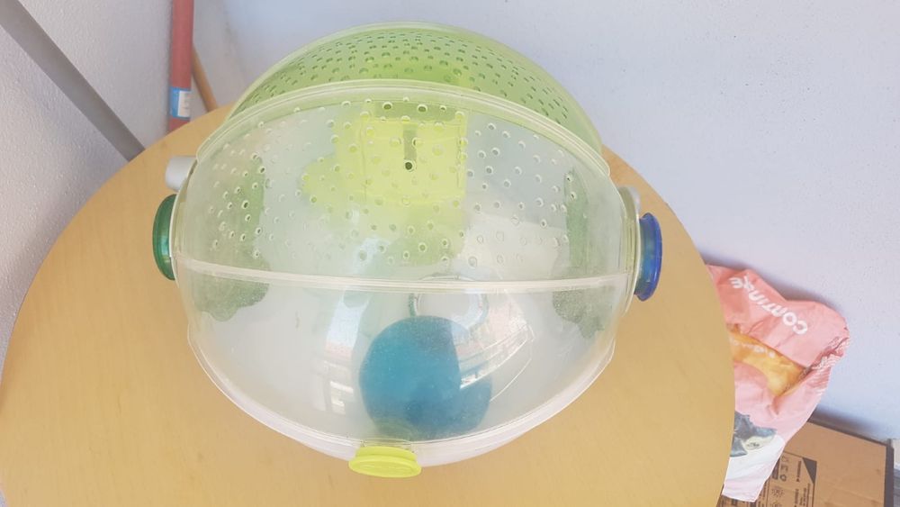 Gaiolas para hamsters