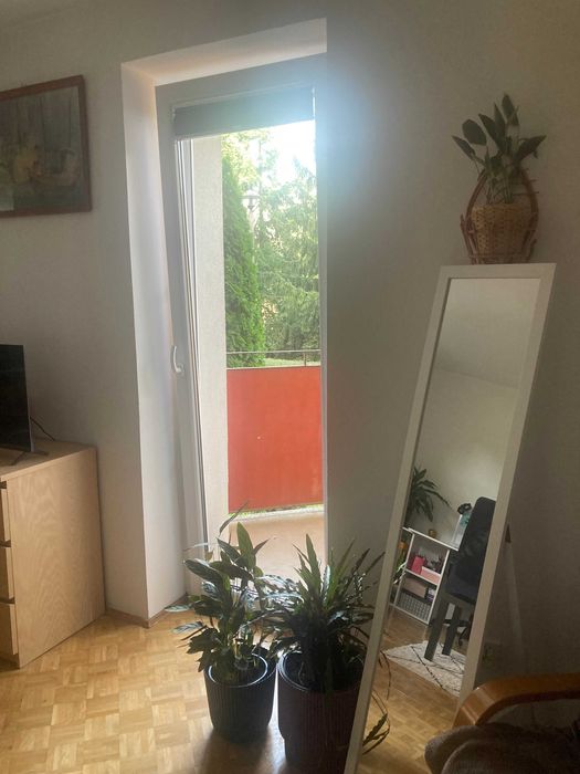 Zdjęcie 3