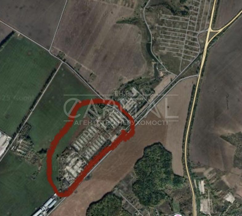 Продаж / Земля сільгосппризначення / вул. Яблуневий, Обухів