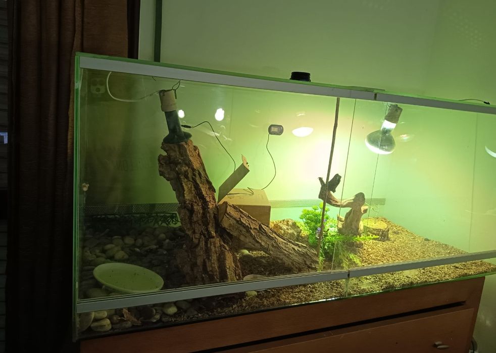 Terrario 1.50x 55x50