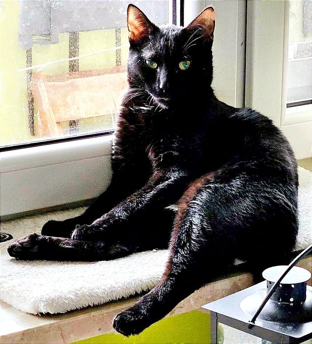 Czarna mama i dzieciaki