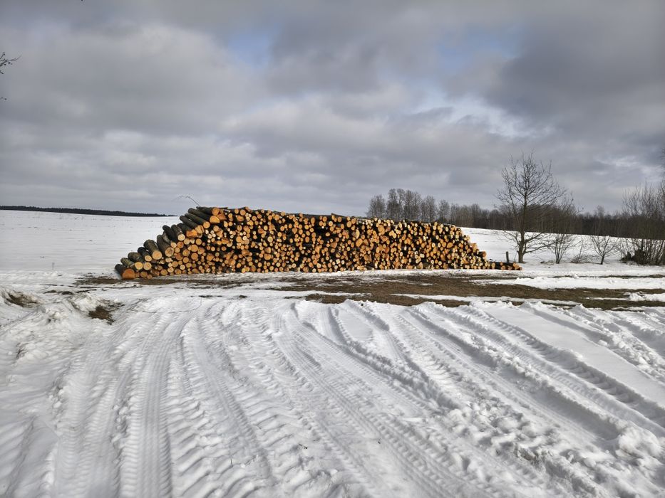 Drewno olcha brzoza opał walki