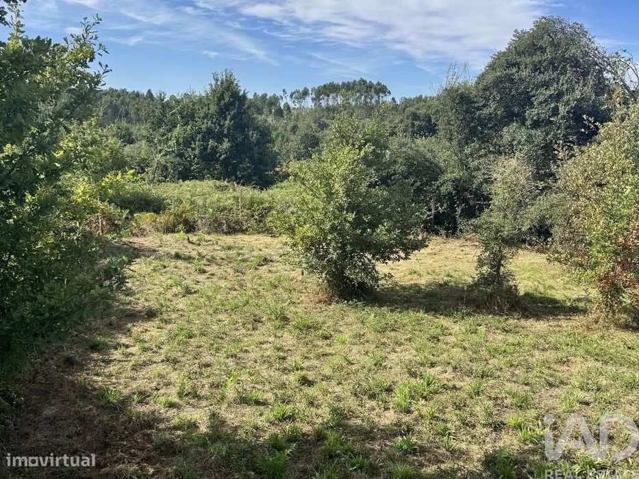 Moradia isolada em Graça de 63 m2