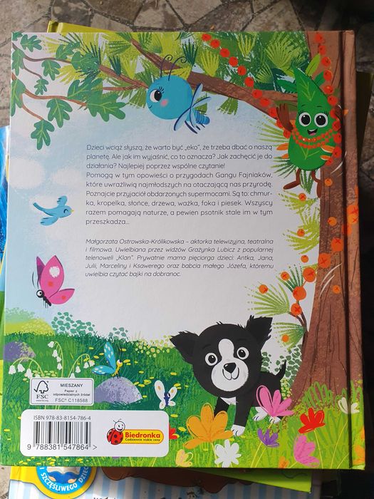 Książka Gang Fajniaków i miasto marzeń książeczka