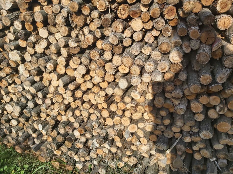 dąb kominkowy suchy drobny gałęziówka